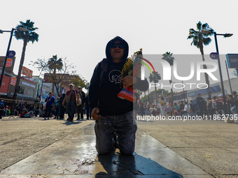 Hundreds of faithful attend the Basilica of Guadalupe to give thanks to the Virgin of Guadalupe for the favors and promises granted as part...