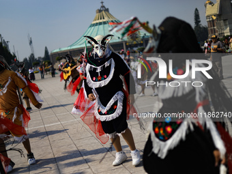 A person dressed in a folk costume takes part in a dance during the celebrations of the Day of the Virgin of Guadalupe in Mexico City, Mexic...