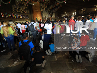 Hundreds of faithful attend the Basilica of Guadalupe to give thanks to the Virgin of Guadalupe for the favors and promises granted as part...