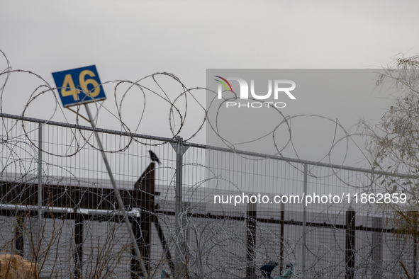 The border wall and barbed wire installed by the United States impact both migrants and local and migratory wildlife. Birds like the great e...