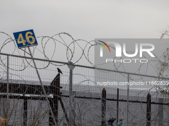 The border wall and barbed wire installed by the United States impact both migrants and local and migratory wildlife. Birds like the great e...