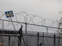 The border wall and barbed wire installed by the United States impact both migrants and local and migratory wildlife. Birds like the great e...