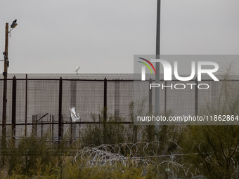 The border wall and barbed wire installed by the United States impact both migrants and local and migratory wildlife. Birds like the great e...