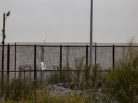 The border wall and barbed wire installed by the United States impact both migrants and local and migratory wildlife. Birds like the great e...