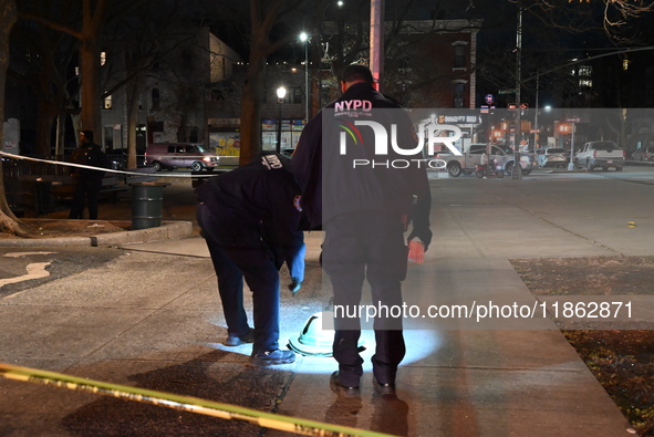 The NYPD evidence collection team gathers evidence and marks shell casings at the scene where two people are shot at Lafayette Gardens NYCHA...