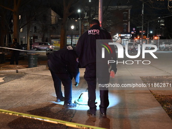 The NYPD evidence collection team gathers evidence and marks shell casings at the scene where two people are shot at Lafayette Gardens NYCHA...