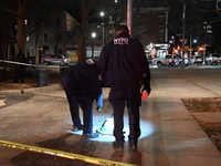 The NYPD evidence collection team gathers evidence and marks shell casings at the scene where two people are shot at Lafayette Gardens NYCHA...