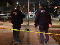 The NYPD evidence collection team gathers evidence and marks shell casings at the scene where two people are shot at Lafayette Gardens NYCHA...