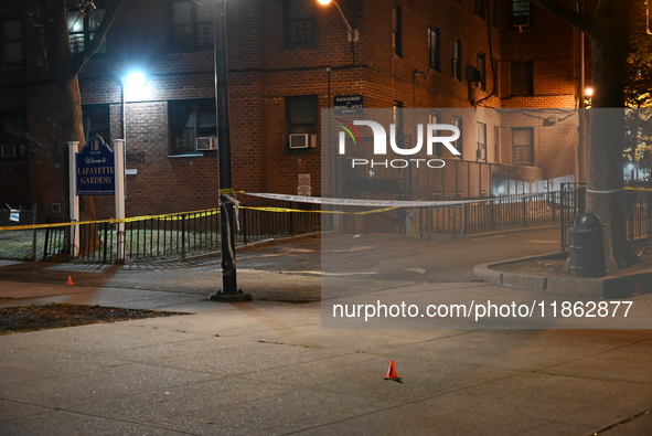 The NYPD evidence collection team gathers evidence and marks shell casings at the scene where two people are shot at Lafayette Gardens NYCHA...