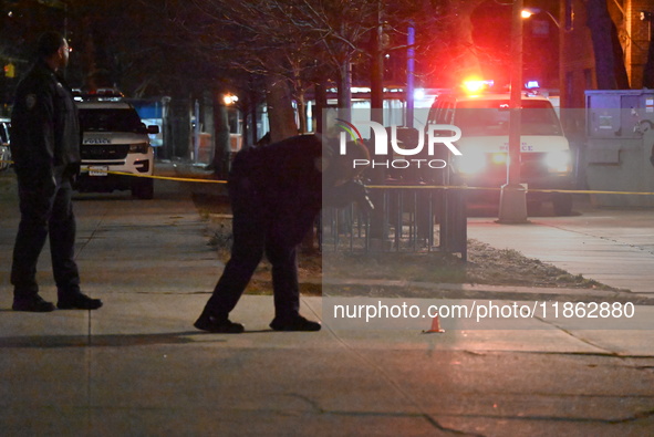 The NYPD evidence collection team gathers evidence and marks shell casings at the scene where two people are shot at Lafayette Gardens NYCHA...