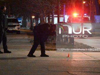 The NYPD evidence collection team gathers evidence and marks shell casings at the scene where two people are shot at Lafayette Gardens NYCHA...