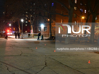 The NYPD evidence collection team gathers evidence and marks shell casings at the scene where two people are shot at Lafayette Gardens NYCHA...