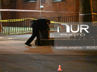 The NYPD evidence collection team gathers evidence and marks shell casings at the scene where two people are shot at Lafayette Gardens NYCHA...