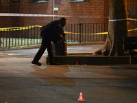 The NYPD evidence collection team gathers evidence and marks shell casings at the scene where two people are shot at Lafayette Gardens NYCHA...