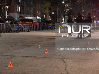 The NYPD evidence collection team gathers evidence and marks shell casings at the scene where two people are shot at Lafayette Gardens NYCHA...