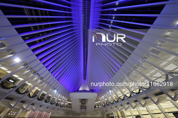 The colorful lights are inside the Oculus Transportation Hub and mall at the World Trade Center in New York, N.Y., on December 12, 2024. The...