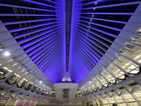 The colorful lights are inside the Oculus Transportation Hub and mall at the World Trade Center in New York, N.Y., on December 12, 2024. The...