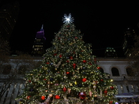 A Christmas tree stands in the Winter Village in Bryant Park in the heart of New York, N.Y., on December 12, 2024. The photo is taken as a l...