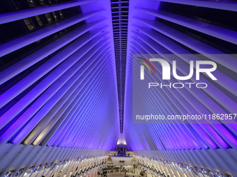 The colorful lights are inside the Oculus Transportation Hub and mall at the World Trade Center in New York, N.Y., on December 12, 2024. The...