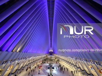 The colorful lights are inside the Oculus Transportation Hub and mall at the World Trade Center in New York, N.Y., on December 12, 2024. The...