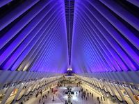 The colorful lights are inside the Oculus Transportation Hub and mall at the World Trade Center in New York, N.Y., on December 12, 2024. The...