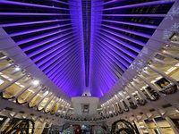 The colorful lights are inside the Oculus Transportation Hub and mall at the World Trade Center in New York, N.Y., on December 12, 2024. The...