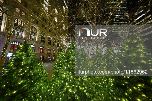 Christmas lights cover the trees in Zuccotti Park in New York, N.Y., on December 12, 2024. The photo is taken as a long exposure. 