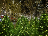 Christmas lights cover the trees in Zuccotti Park in New York, N.Y., on December 12, 2024. The photo is taken as a long exposure. (