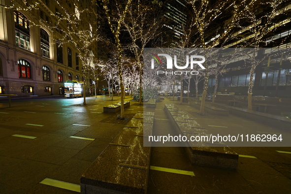 Christmas lights cover the trees in Zuccotti Park in New York, N.Y., on December 12, 2024. The photo is taken as a long exposure. 