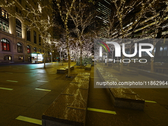 Christmas lights cover the trees in Zuccotti Park in New York, N.Y., on December 12, 2024. The photo is taken as a long exposure. (