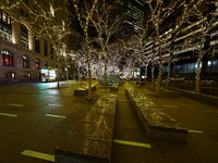 Christmas lights cover the trees in Zuccotti Park in New York, N.Y., on December 12, 2024. The photo is taken as a long exposure. (