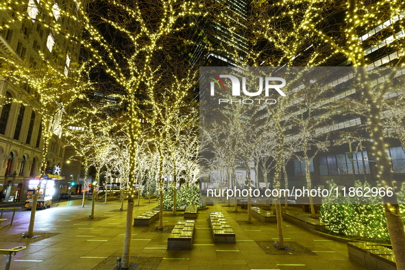 Christmas lights cover the trees in Zuccotti Park in New York, N.Y., on December 12, 2024. The photo is taken as a long exposure. 