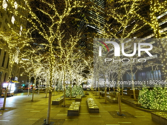 Christmas lights cover the trees in Zuccotti Park in New York, N.Y., on December 12, 2024. The photo is taken as a long exposure. (