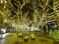 Christmas lights cover the trees in Zuccotti Park in New York, N.Y., on December 12, 2024. The photo is taken as a long exposure. (