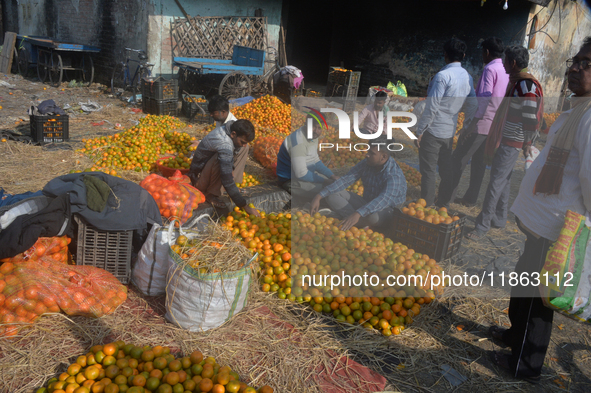 Indian workers sort oranges for packaging at a regulated market in Siliguri, India, on December 13, 2024. Every year, large numbers of orang...