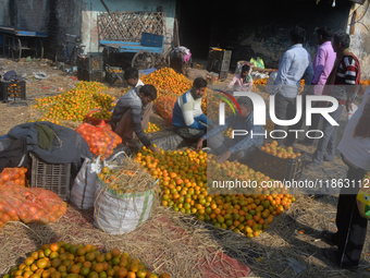 Indian workers sort oranges for packaging at a regulated market in Siliguri, India, on December 13, 2024. Every year, large numbers of orang...