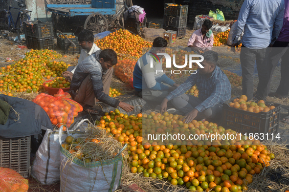 Indian workers sort oranges for packaging at a regulated market in Siliguri, India, on December 13, 2024. Every year, large numbers of orang...