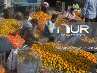 Indian workers sort oranges for packaging at a regulated market in Siliguri, India, on December 13, 2024. Every year, large numbers of orang...