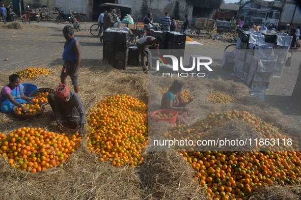 Indian workers sort oranges for packaging at a regulated market in Siliguri, India, on December 13, 2024. Every year, large numbers of orang...