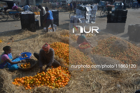 Indian workers sort oranges for packaging at a regulated market in Siliguri, India, on December 13, 2024. Every year, large numbers of orang...