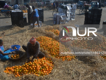 Indian workers sort oranges for packaging at a regulated market in Siliguri, India, on December 13, 2024. Every year, large numbers of orang...