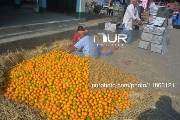 Indian workers sort oranges for packaging at a regulated market in Siliguri, India, on December 13, 2024. Every year, large numbers of orang...