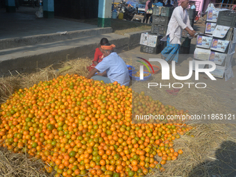 Indian workers sort oranges for packaging at a regulated market in Siliguri, India, on December 13, 2024. Every year, large numbers of orang...