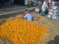 Indian workers sort oranges for packaging at a regulated market in Siliguri, India, on December 13, 2024. Every year, large numbers of orang...