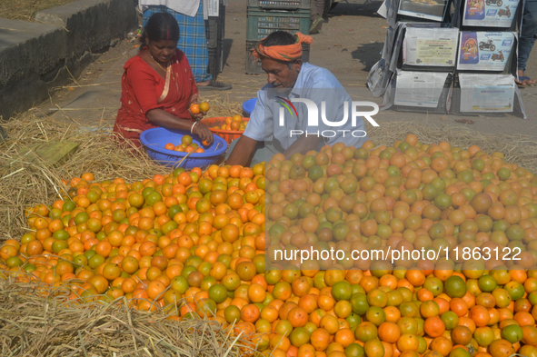 Indian workers sort oranges for packaging at a regulated market in Siliguri, India, on December 13, 2024. Every year, large numbers of orang...