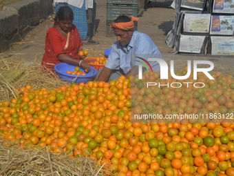 Indian workers sort oranges for packaging at a regulated market in Siliguri, India, on December 13, 2024. Every year, large numbers of orang...