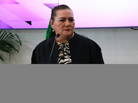 Guadalupe Taddei, president of the National Electoral Institute (INE), speaks during a press conference on the occasion of the 2025 Budget a...