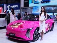 A female model promotes cars at the 16th Shandong International Auto Show 2024 in Qingdao, China, on December 13, 2024. (