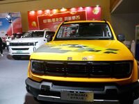 People view cars at the 16th Shandong International Auto Show in Qingdao, China, on December 13, 2024. (