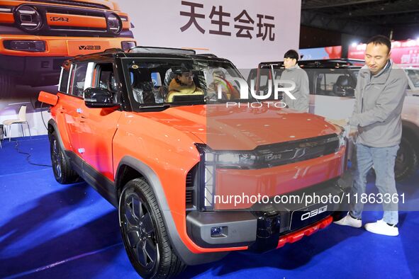 People view cars at the 16th Shandong International Auto Show in Qingdao, China, on December 13, 2024. 